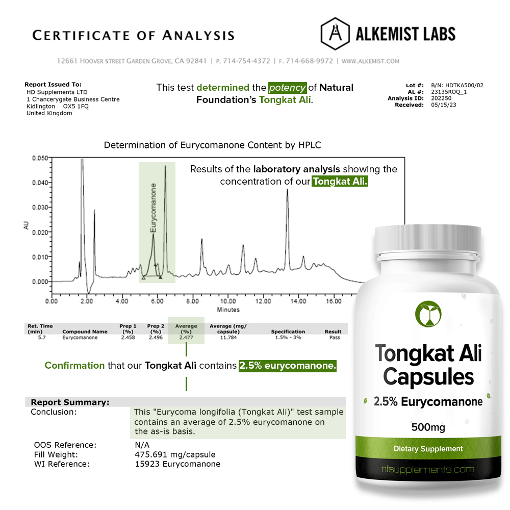 Natural Testosterone Booster Bundle - Tongkat Ali & Fadogia Agrestis