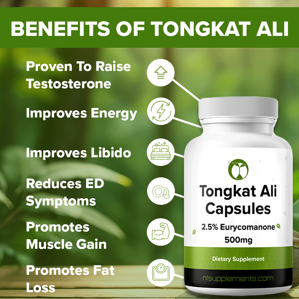 Natural Testosterone Booster Bundle - Tongkat Ali & Fadogia Agrestis